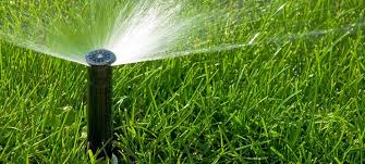 Lawn irrigation services